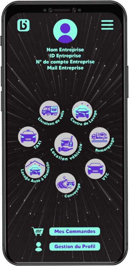 Aperçu application mobile